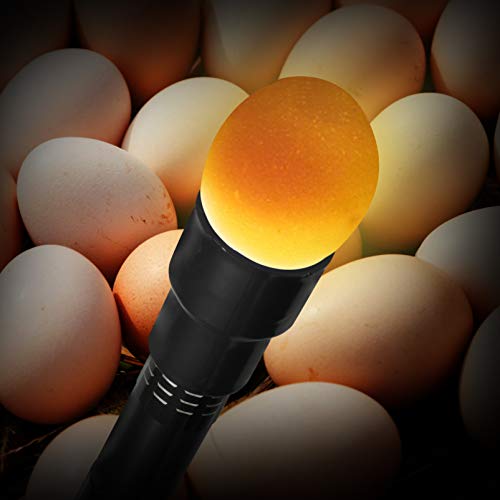 iplusmile Licht Ei Candler Durchleuchten Lampe Ei Inkubator Ei Candler Tester LED Licht Geflügel Helle Taschenlampe Durchleuchten Lampe Inkubator(Zufällige Farbe) iplusmile Licht Ei Candler Durchleuchten Lampe Ei Inkubator Ei Candler Tester LED Licht Geflügel Helle Taschenlampe Durchleuchten Lampe Inkubator(Zufällige Farbe) von iplusmile