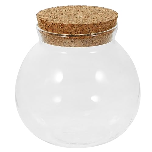 iplusmile Glasbehälter Pflanzen Terrarium Glas Hydrokultur Vase Glasvase mit Korkdeckel Tischvase Mini Fischtank Pflanzgefäße für Terrarium Mikrolandschaft Zuhause Büro Tischdeko von iplusmile