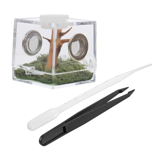 iplusmile Reptilien Terrarium aus Acryl - 3 Sets Springspinne Terrarium - Mini Spinne Box Transparent Reptilien-Zuchtbox mit Pipette Zange für Spinnen, 3.5 x 3.5 x 4cm iplusmile Reptilien Terrarium aus Acryl - 3 Sets Springspinne Terrarium - Mini Spinne Box Transparent Reptilien-Zuchtbox mit Pipette Zange für Spinnen, 3.5 x 3.5 x 4cm von iplusmile