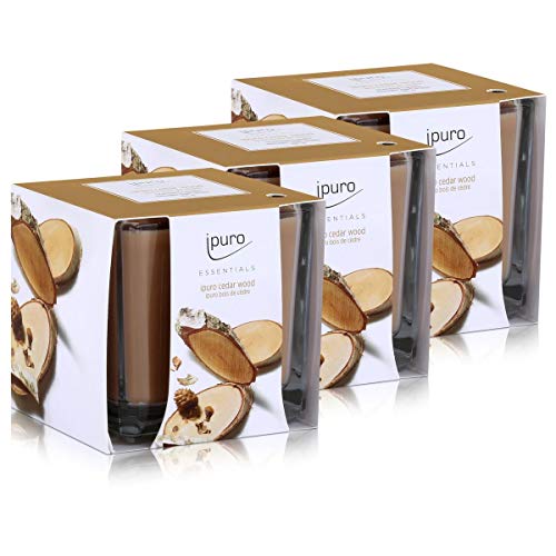 Essentials by Ipuro Duftkerze Cedar Wood 125g - Holzige Noten umschmeichelt von fruchtigen und blumigen Nuancen (3er Pack) von Ipuro