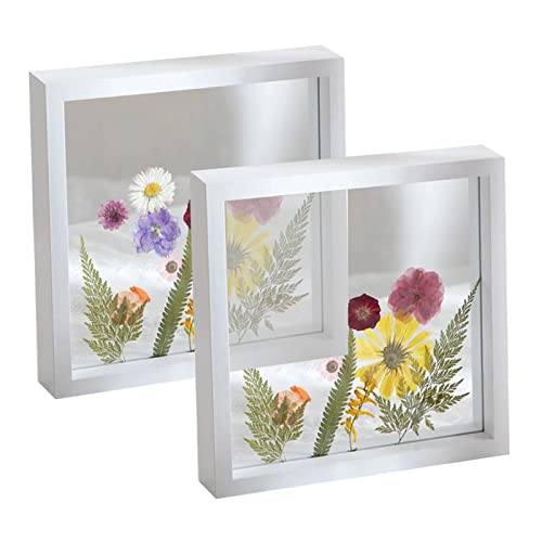 irbaniland 2 Stück schwebender Rahmen, rustikaler Bilderrahmen, doppelseitig, gehärtetes Glas, Fotorahmen für Wand oder Tischaufstellrahmen, 2 Stück (Weiß, 20,3 x 20,3 cm) von irbaniland