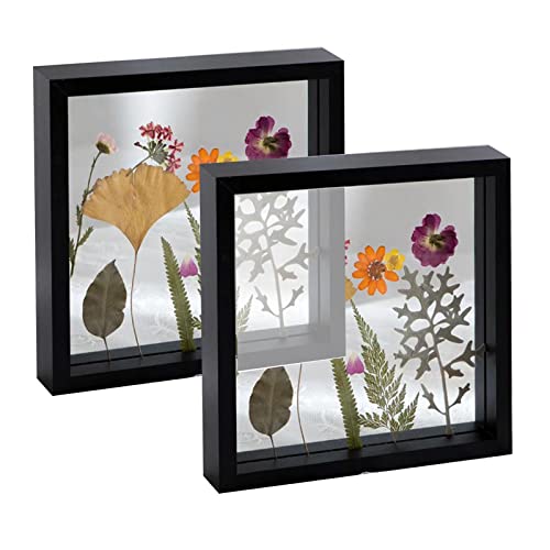 irbaniland Schwebender Rahmen, rustikaler Bilderrahmen, doppelseitig, gehärtetes Glas, Fotorahmen für Wand oder Tischaufstellrahmen, 2 Stück (Schwarz, 20,3 x 20,3 cm) von irbaniland