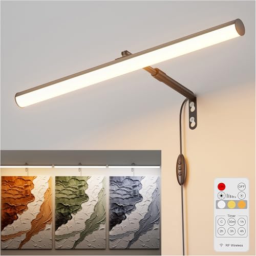 irotine Schwarz Bilderleuchte mit Fernbedienung Plug in,4W Dimmbare Bilderlampe Plugin mit Timer,3000K-6000K Bild Beleuchtung,Drehbares Bilderrahmen Beleuchtung,LED Bildbeleuchtung von irotine