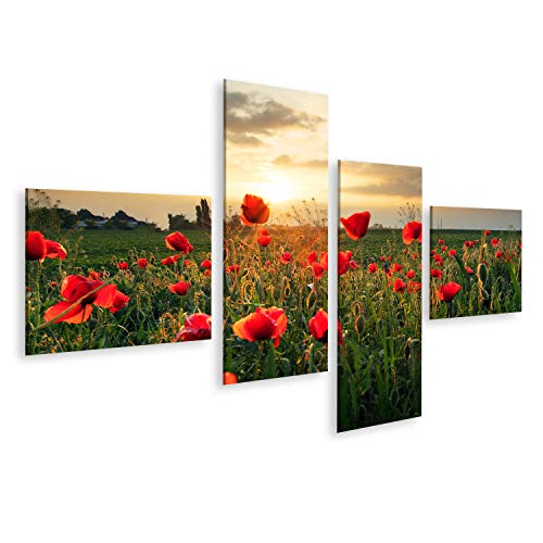 Bild Bilder auf Leinwand Mohnblumen Feldblume bei Sonnenuntergang Wandbild, Poster, Leinwandbild PYC von islandburner,