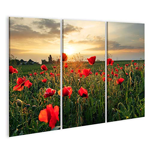 Bild Bilder auf Leinwand Mohnblumen Feldblume bei Sonnenuntergang Wandbild, Poster, Leinwandbild PYC von islandburner,