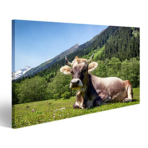 Bild auf Leinwand Kuh An Der Alpen Wandbild Poster Kunstdruck Bilder von islandburner