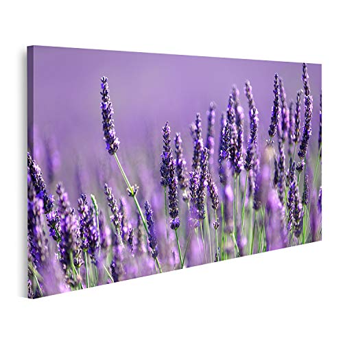 islandburner Bild auf Leinwand Lavendel Blumen Blüte Nahaufnahme Blühende Provence Frankreich Bilder Wandbilder Poster GAUO-1K islandburner Bild auf Leinwand Lavendel Blumen Blüte Nahaufnahme Blühende Provence Frankreich Bilder Wandbilder Poster GAUO-1K von islandburner