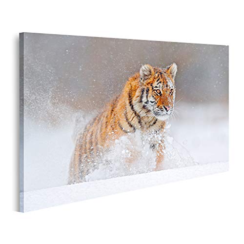 Bild auf Leinwand Wildlife Russland Tiger Kalter Winter Taiga Schneeflocken Wilde Amurkatze Lauf Natur Sibirisch Actio Wandbild Leinwandbild Bilder für Wohnzimmer GKXE-1P Bild auf Leinwand Wildlife Russland Tiger Kalter Winter Taiga Schneeflocken Wilde Amurkatze Lauf Natur Sibirisch Actio Wandbild Leinwandbild Bilder für Wohnzimmer GKXE-1P von islandburner