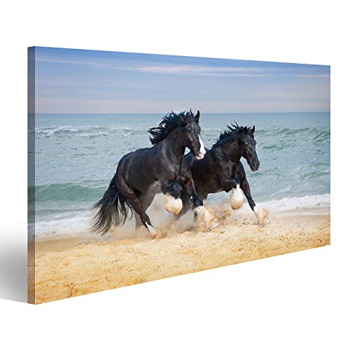 Bild auf Leinwand Zwei Schöne Große Pferde Züchten Shire Galopp Entlang Dem Strand Der Sand Gegen Das Blaue Meer Aufhebt Wandbild Poster Kunstdruck Bilder 80x40cm von islandburner