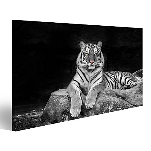 Bild auf Leinwand weißer Tiger Wandbild Poster Leinwandbild von islandburner,