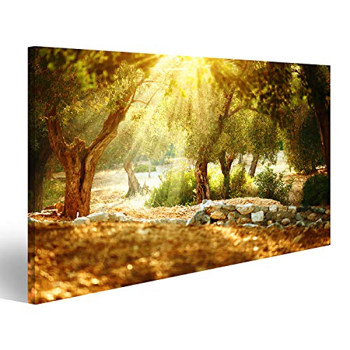 islandburner, Bild auf Leinwand Olivenbäume Garten. Mediterraner Olivenhain mit altem Olivenbaum Wandbild Leinwandbild Kunstdruck Poster 100x57cm von islandburner,
