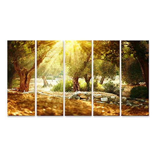 islandburner, Bild auf Leinwand Olivenbäume Garten. Mediterraner Olivenhain mit altem Olivenbaum Wandbild Leinwandbild Kunstdruck Poster 170x80cm - 5 Teile XXL von islandburner,