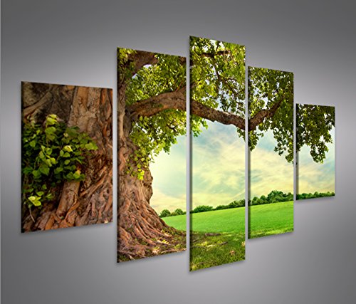 islandburner Bild Bilder auf Leinwand Alter Baum Landschaft Natur Grün MF XXL Poster Leinwandbild Wandbild Dekoartikel Wohnzimmer Marke islandburner Bild Bilder auf Leinwand Alter Baum Landschaft Natur Grün MF XXL Poster Leinwandbild Wandbild Dekoartikel Wohnzimmer Marke von islandburner