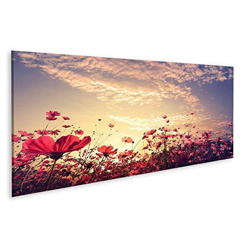 islandburner Bild auf Leinwand Schöne Rosa Rote Kosmos Blume Sonnenschein Landschaft Natur Bilder Wandbilder Poster von islandburner