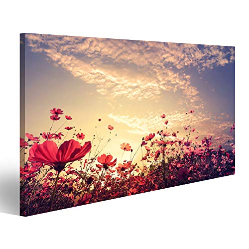 islandburner Bild auf Leinwand Schöne Rosa Rote Kosmos Blume Sonnenschein Landschaft Natur Bilder Wandbilder Poster von islandburner