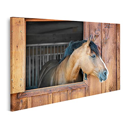 islandburner Bild auf Leinwand Braunes Pferd Schaut Neugierig Aus Fenster Kinderzimmer Bilder Wandbilder Poster von islandburner