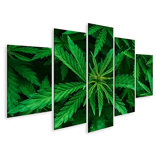 islandburner Bild auf Leinwand Cannabis Marihuana Blatt Closeup Hintergrund Natur Bilder Wandbilder Poster von islandburner