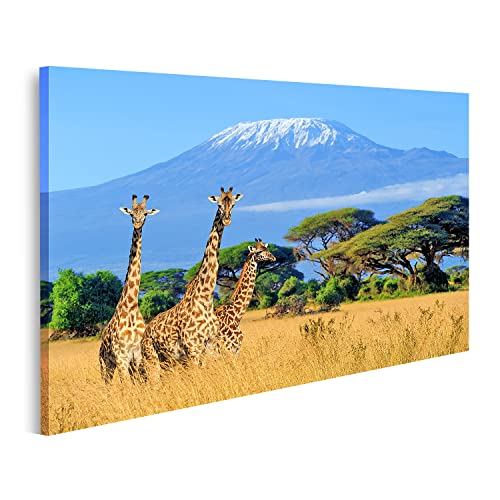 islandburner Bild auf Leinwand DREI Giraffen Nationalpark Kenia Kilimanjaro Berg Hintergrund Afrika Natur Leinwandbild Wandbild Prime Bilder für Wohnzimmer etc. islandburner Bild auf Leinwand DREI Giraffen Nationalpark Kenia Kilimanjaro Berg Hintergrund Afrika Natur Leinwandbild Wandbild Prime Bilder für Wohnzimmer etc. von islandburner