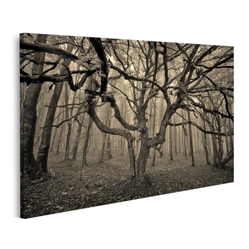 islandburner Bild auf Leinwand Düsterer Wald mit knorrigem Baum im Nebel Bilder Wandbilder Poster islandburner Bild auf Leinwand Düsterer Wald mit knorrigem Baum im Nebel Bilder Wandbilder Poster von islandburner