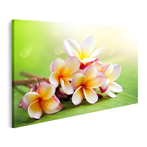 islandburner Bild auf Leinwand Frangipani Tropische Spa Blume Bilder Wandbilder Poster islandburner Bild auf Leinwand Frangipani Tropische Spa Blume Bilder Wandbilder Poster von islandburner