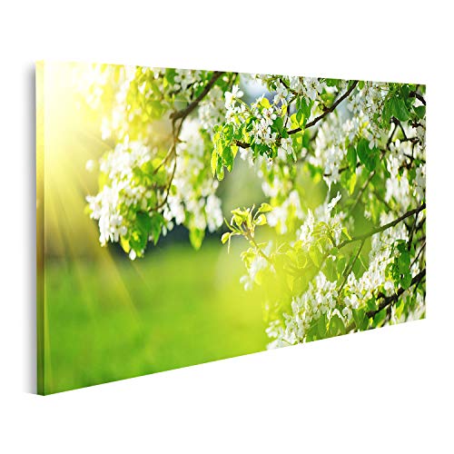 islandburner Bild auf Leinwand Frühling Blüte Hintergrund Natur Szene mit Baum und Sonne Flare Frühling Blumen Schöne Ork Bilder Drucke Kunst Poster Wandbild von islandburner