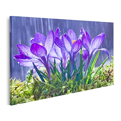 islandburner Bild auf Leinwand Frühlingsblumen Blaue Krokusse Wassertropfen Backgro Hintergrund Spuren Regen Wandbild Leinwandbild Bilder für Wohnzimmer GCPT-1K von islandburner