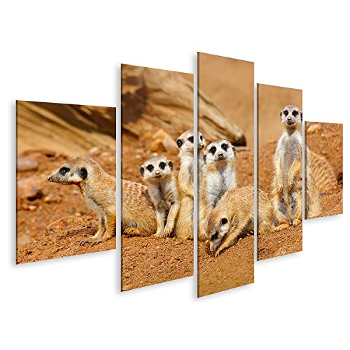 islandburner Bild auf Leinwand Groß Tier Familie Lustig Bild Afrika Natur Niedlich Erdmännchen Suricata Suricat Bilder Wandbilder Poster HRNW-MFP islandburner Bild auf Leinwand Groß Tier Familie Lustig Bild Afrika Natur Niedlich Erdmännchen Suricata Suricat Bilder Wandbilder Poster HRNW-MFP von islandburner