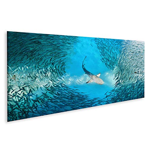 islandburner Bild auf Leinwand Hai Und Kleine Fische Im Ozean Bilder Wandbilder Poster islandburner Bild auf Leinwand Hai Und Kleine Fische Im Ozean Bilder Wandbilder Poster von islandburner