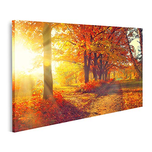 islandburner Bild auf Leinwand Herbst Herbstpark Herbstliche Bäume Und Blätter In Sonnenstrahlen Bilder Wandbilder Poster islandburner Bild auf Leinwand Herbst Herbstpark Herbstliche Bäume Und Blätter In Sonnenstrahlen Bilder Wandbilder Poster von islandburner
