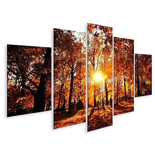 islandburner Bild auf Leinwand Herbst Natur Kolomenskoye Park Moskau Gelbe Schätze Viele Gefallene Blätter Bode Bilder Wandbilder Poster IOEZ-MFP islandburner Bild auf Leinwand Herbst Natur Kolomenskoye Park Moskau Gelbe Schätze Viele Gefallene Blätter Bode Bilder Wandbilder Poster IOEZ-MFP von islandburner