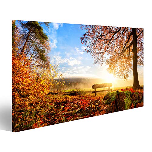 islandburner Bild auf Leinwand Herbstlandschaft Mit Der Sonne Warm Erleuchten Eine Bank Unter Einem Baum Viel Gold Blätter Und Blauer Himmel Wandbild Poster Kunstdruck Bilder von islandburner