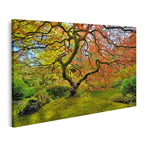 islandburner Bild auf Leinwand Japanischer Ahorn Baum Frühling Rot Portland Garten Bilder Wandbilder Poster IOEE-1K von islandburner