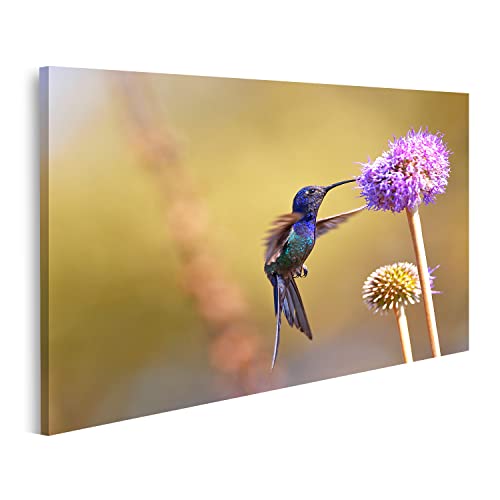 islandburner Bild auf Leinwand Kolibri Füttert Blume Bilder Wandbilder Poster AEBF-1K islandburner Bild auf Leinwand Kolibri Füttert Blume Bilder Wandbilder Poster AEBF-1K von islandburner