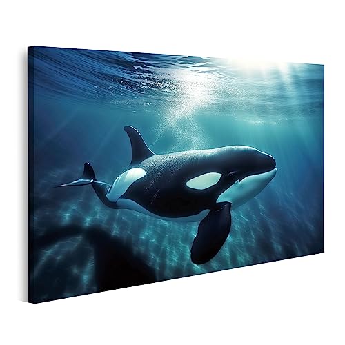 islandburner Bild auf Leinwand Orca Killerwal Schwimmen unter Meer Unterwasser Tiere KI Bilder Wandbilder Poster JAXK-1K von islandburner