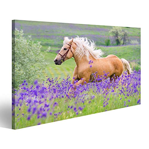 islandburner Bild auf Leinwand Palomino Pferd Kinderzimmer Hobby Reiten Bilder Wandbilder Poster von islandburner