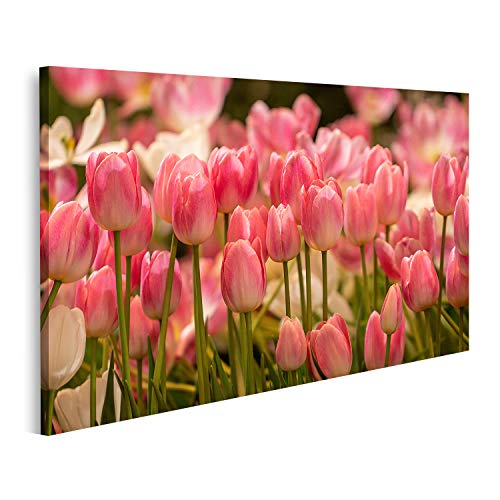 islandburner Bild auf Leinwand Rosa Tulpen Feld Bilder Wandbilder Poster von islandburner