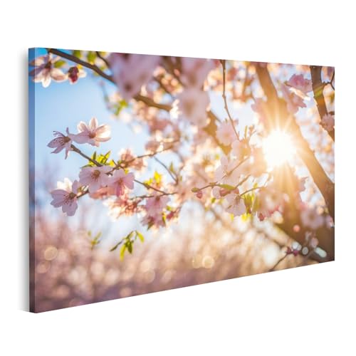 islandburner Bild auf Leinwand Schöne Blühende Sakura Baum Zweige Frühling Natur Rosa Blumen Makro Helles Sonni Bilder Wandbilder Poster von islandburner