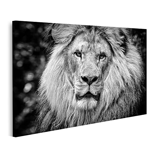 islandburner Bild auf Leinwand Schwarz Weiss Männlicher Afrikanischer Löwe Lion King Bilder Wandbilder Poster INPR-1P islandburner Bild auf Leinwand Schwarz Weiss Männlicher Afrikanischer Löwe Lion King Bilder Wandbilder Poster INPR-1P von islandburner