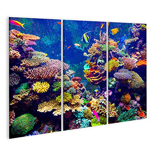 islandburner Bild auf Leinwand Singapur Aquarium Korallenriff Tropische Fische Sonnenlicht Wandbild Poster Kunstdruck Bilder von islandburner