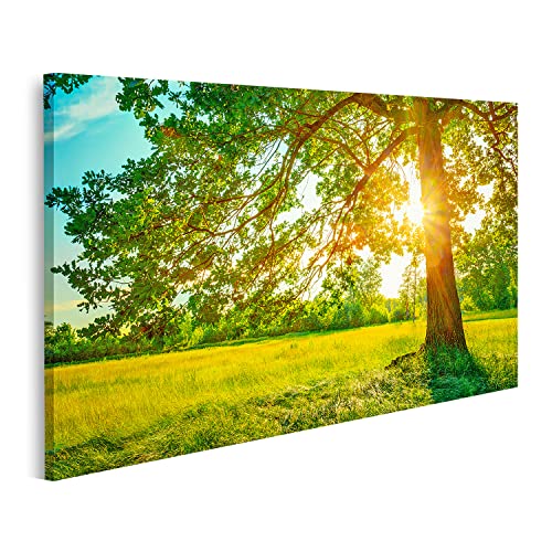 islandburner Bild auf Leinwand Sommer Sonnig Wald Bäume Grünes Gras Natur Holz Sonnenlicht Hintergrund Instant Bilder Wandbilder Poster HVTY-1P islandburner Bild auf Leinwand Sommer Sonnig Wald Bäume Grünes Gras Natur Holz Sonnenlicht Hintergrund Instant Bilder Wandbilder Poster HVTY-1P von islandburner