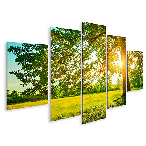islandburner Bild auf Leinwand Sommer Sonnig Wald Bäume Grünes Gras Natur Holz Sonnenlicht Hintergrund Instant Bilder Wandbilder Poster HVTY-MFP islandburner Bild auf Leinwand Sommer Sonnig Wald Bäume Grünes Gras Natur Holz Sonnenlicht Hintergrund Instant Bilder Wandbilder Poster HVTY-MFP von islandburner