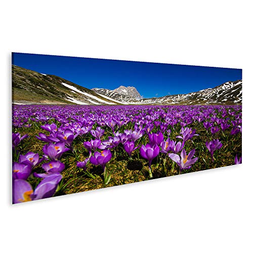 islandburner Bild auf Leinwand Teppich Wilder Berg Krokusblüten Campo Imperatore Abruzzen Italien Bilder Wandbilder Poster von islandburner