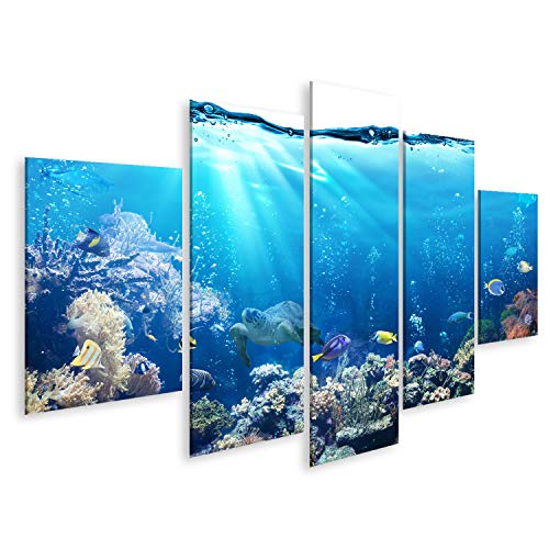 islandburner Bild auf Leinwand Unterwasser Szene Riff Und Tropischen Fischen 5 Teile Wandbild Poster Kunstdruck Bilder 170x80cm islandburner Bild auf Leinwand Unterwasser Szene Riff Und Tropischen Fischen 5 Teile Wandbild Poster Kunstdruck Bilder 170x80cm von islandburner