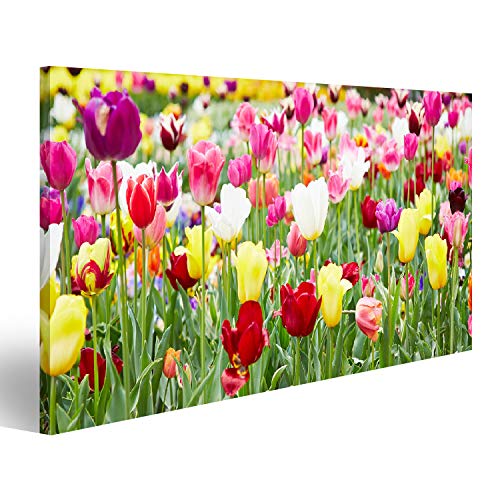 islandburner Bild auf Leinwand Verschiedene Blumen Und Blühende Tulpen Bilder Wandbilder Poster islandburner Bild auf Leinwand Verschiedene Blumen Und Blühende Tulpen Bilder Wandbilder Poster von islandburner