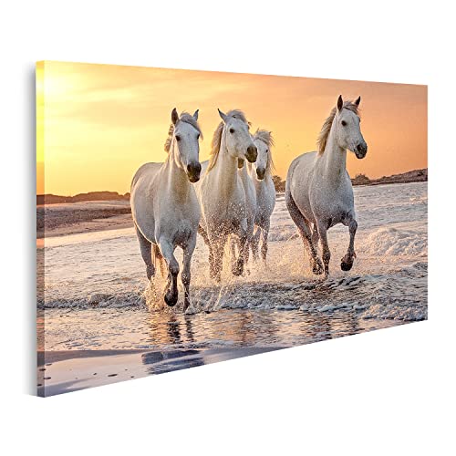 islandburner Bild auf Leinwand Weiße Pferde Camargue Frankreich Galoppierendes Wasser Über Dem Meer Bilder Wandbilder Poster von islandburner