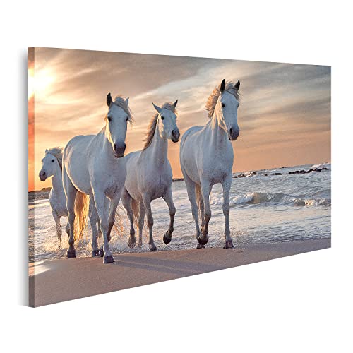islandburner Bild auf Leinwand Weiße Pferde Camargue Frankreich Herde Wandbild Poster Kunstdruck Bilder 80x40cm von islandburner