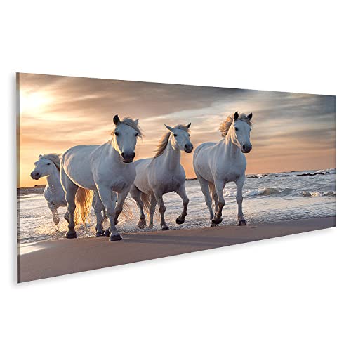 islandburner Bild auf Leinwand Weiße Pferde Camargue Frankreich Herde Bilder Wandbilder Poster von islandburner