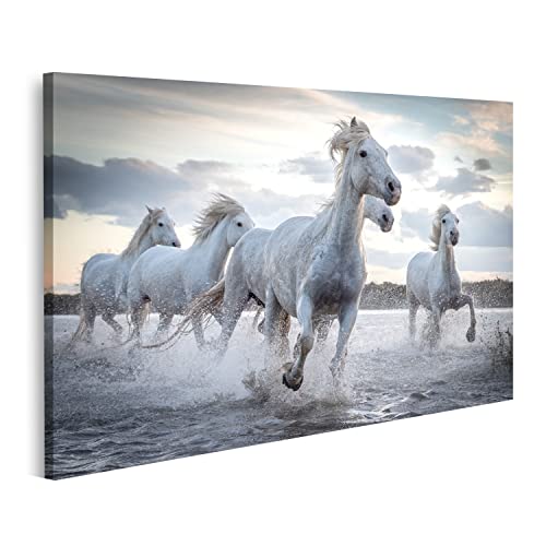 islandburner Bild auf Leinwand Weiße Pferde Camargue Frankreich Herde Im Wasser Bilder Wandbilder Poster von islandburner