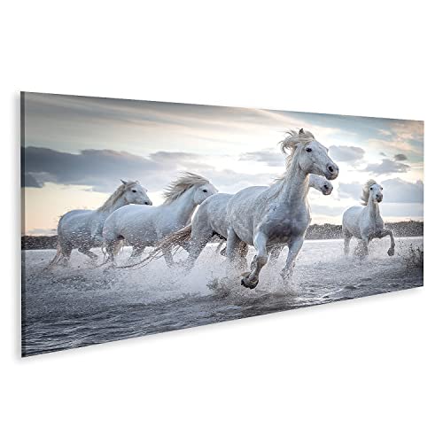 islandburner Bild auf Leinwand Weiße Pferde Camargue Frankreich Herde Im Wasser Bilder Wandbilder Poster von islandburner