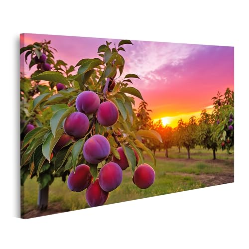 islandburner Bild auf Leinwand Zweig reifende lila Pflaumen Sonnenuntergang schmackhaftes Obst Ernte Baum Bilder Wandbilder Poster islandburner Bild auf Leinwand Zweig reifende lila Pflaumen Sonnenuntergang schmackhaftes Obst Ernte Baum Bilder Wandbilder Poster von islandburner
